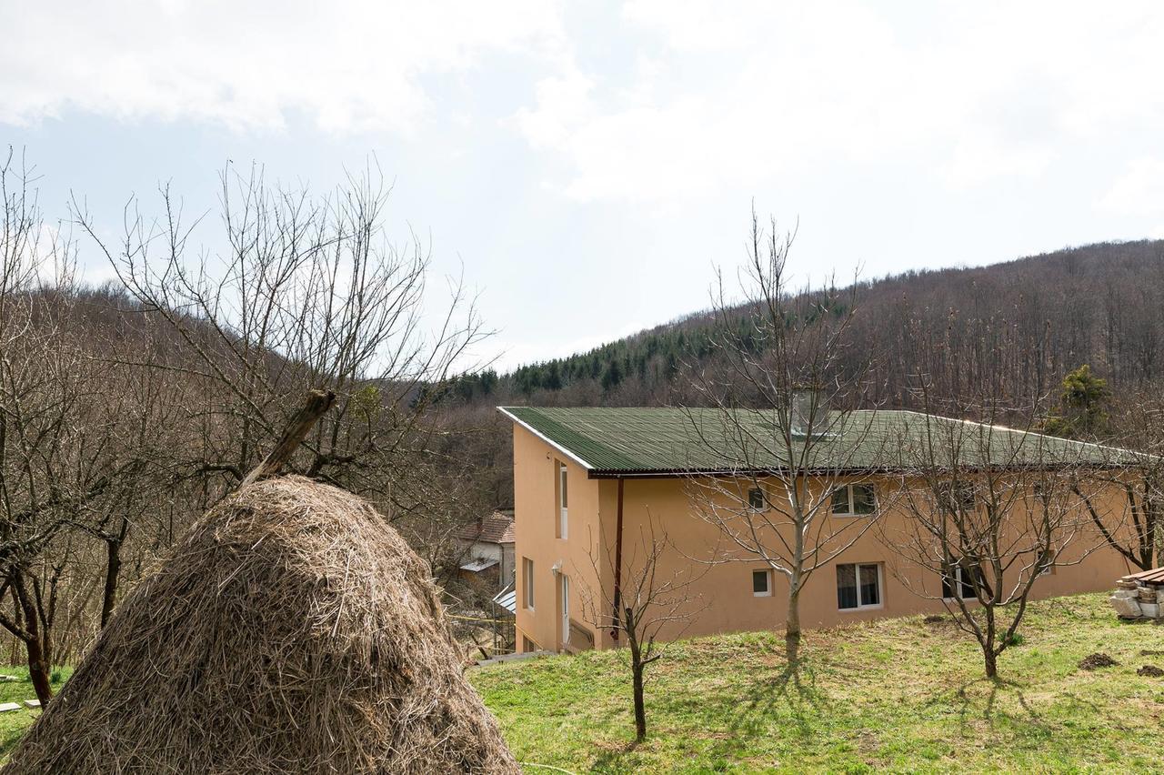 Casa Petru Stolna Vila Exterior foto